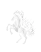 cropped sem fundo cavalo.png